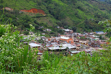 云雾林中的小山村背景图片