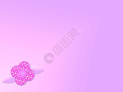 粉红色和紫色反光花背景图片