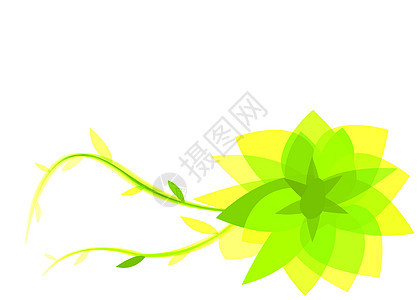绿色和黄色抽象花朵图片