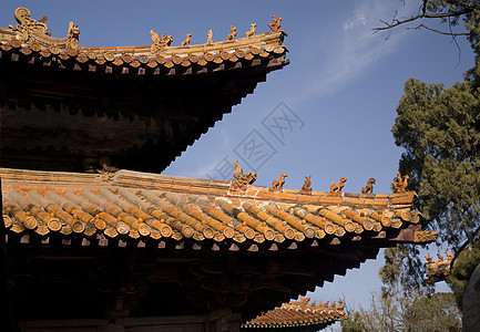 中国山东省Qufu 孔子寺屋顶图片