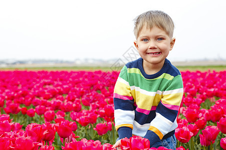 Tullip 域的男孩植物群紫色郁金香生活情感童年草地孩子男生生长图片