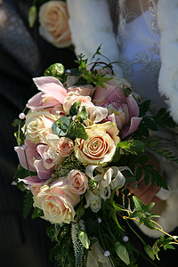 婚礼花束裙子投标新娘女性夫妻玫瑰面纱背景图片