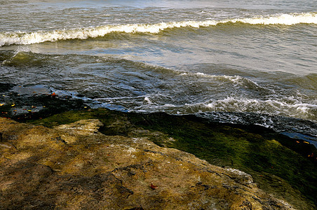藻叶和水银行波浪绿色岩石叶子海浪湖岸苔藓树叶图片