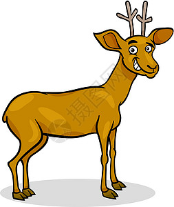 野鹿漫画插图快乐吉祥物鹿角牛角荒野男性动物园卡通片童话哺乳动物图片