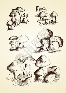 蘑菇手工绘画图片