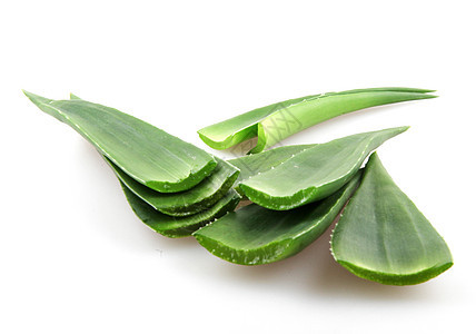 白上隔离的 aloe vera 植物治愈免版税凝胶相片生长面霜皮肤库存头发沙漠背景图片