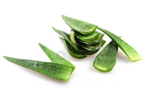 白上隔离的 aloe vera 植物洋甘菊生长照片果汁蜂蜜头发治愈芦荟皮肤免版税图片