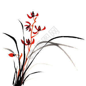 兰花植物传统植物群帆布手工文化艺术品绘画衬套插图图片