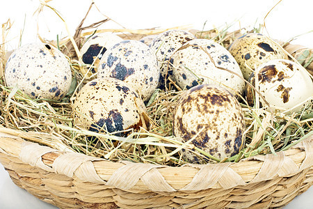 在稻草中打鸡蛋熟食脆弱性鹌鹑团体产品烹饪杂色椭圆棕色食物图片