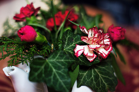 锅中的花朵 室内装饰园艺工作室花店花瓣紫色礼物季节花盆蓝色植物群图片