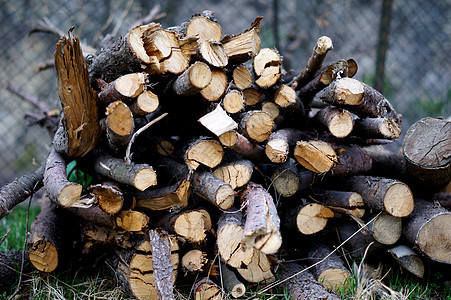 堆积在洞穴之上的干切木柴木木原的背景林业环境季节燃料日志壁炉木头树干森林松树图片
