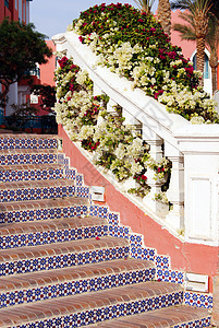 围绕外来植物的传统阿拉伯阿拉伯建筑图案 于2001年6月院子楼梯假期红陶海岸露台支撑灌木途径建筑学图片