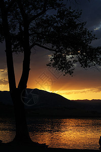 日落穿过湖岸上的树棕榈主义者热带反思极简旅行波浪旅游天空太阳图片