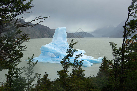 智利 艾斯贝格灰色风景多云木头气候冰川森林荒野图片