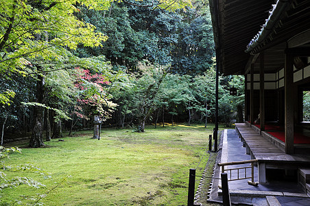 日本京都九门寺庙的日本花园旅行传统宗教精神季节花园苔藓大德庭园假期图片