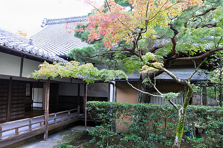 高藤寺的日本花园图片