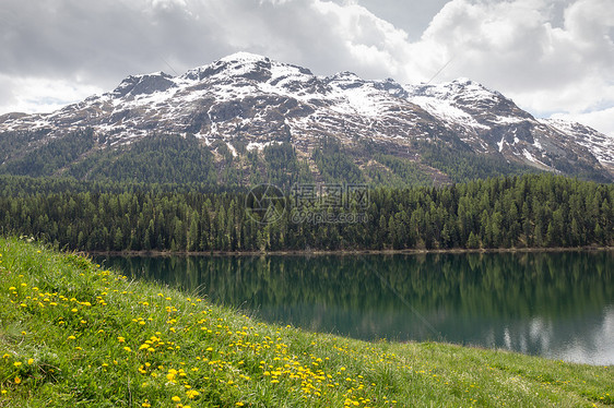 瑞士圣莫里茨湖旅行反射山脉发动机风景全景高山岩石树木蓝色图片