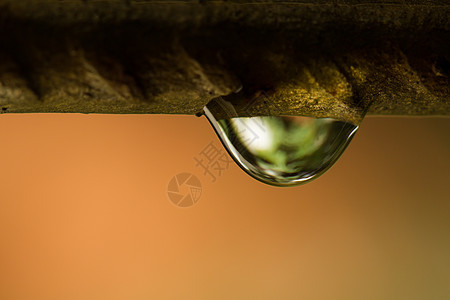 线上水滴草本植物雨滴角落宏观背景栅栏环境桌面液体水分图片