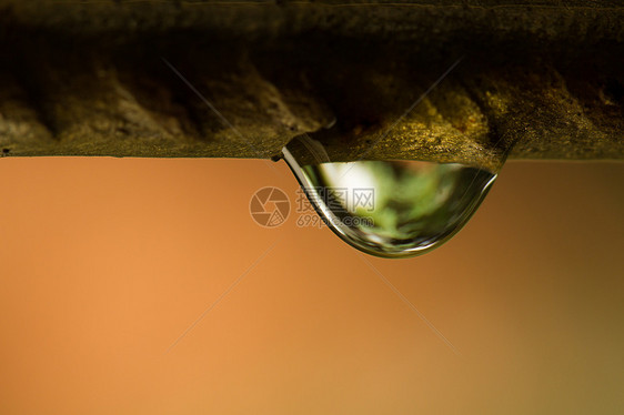 线上水滴草本植物雨滴角落宏观背景栅栏环境桌面液体水分图片