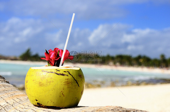 海滩上的椰子支撑蓝色坚果旅行阳光海景太阳旅游可可情调图片