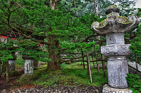 日本圣殿石头神社地标松树森林日光寺庙文化神道宗教图片