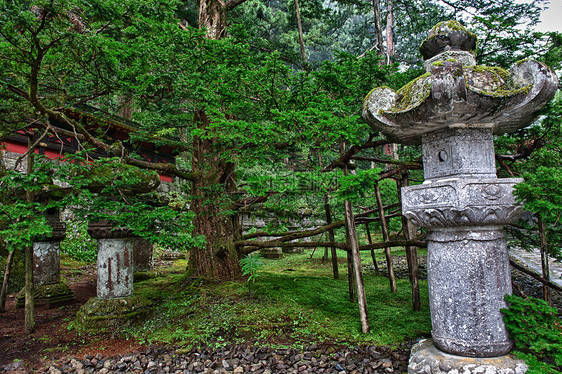 日本圣殿石头神社地标松树森林日光寺庙文化神道宗教图片