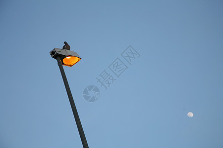 电灯灯泡电气月亮节能桅杆蓝色民众活力背景图片