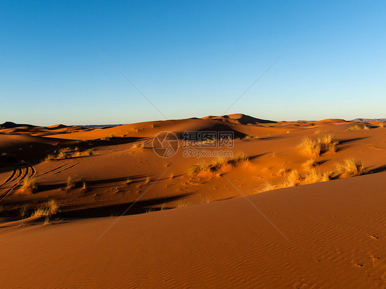 沙漠的日落图片
