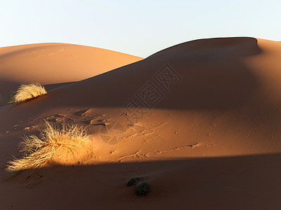 日落时沙丘极限沙漠旅行橙子天空地形旅游阳光水平衬套图片