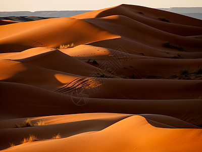 日落时的沙漠全景水平旅游沙丘阳光荒野地平线旅行极限地形图片