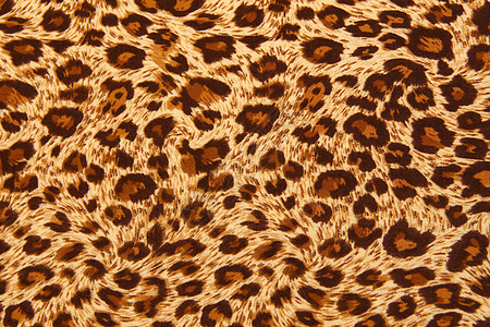 老虎结构荒野猎豹棕色织物材料墙纸图片