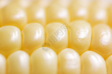 玉米饼b耳朵黄色宏观玉米芯蔬菜食物背景图片