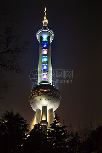 上海电视台夜夜有树的天台图片