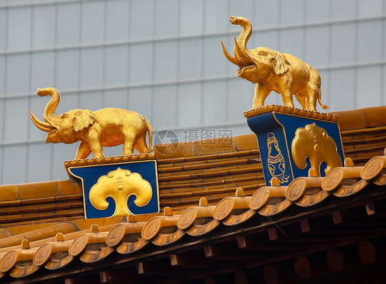 金大象屋顶 上京寺庙 中国上海图片