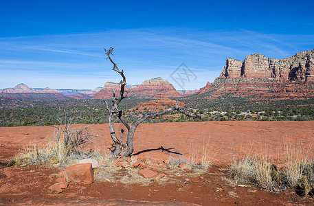 塞多纳编队旅行砂岩沙漠天空爬坡红色地质学风景悬崖图片