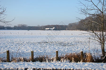 冬季森林中的农场谷仓风景天空树木白色磨砂小路公园草地降雪图片