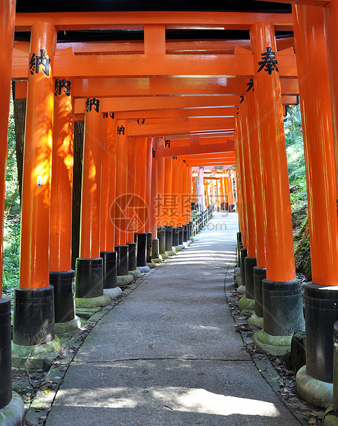 日本京都Inari神社圣堂千托利门图片