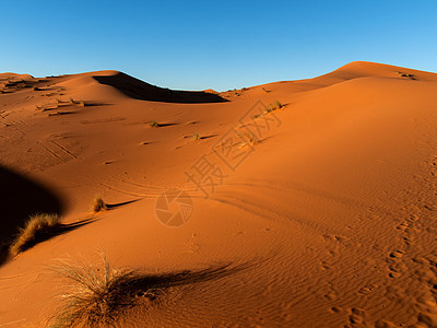 日落时的沙漠冒险地平线阳光全景水平荒野橙子沙丘地点地形图片