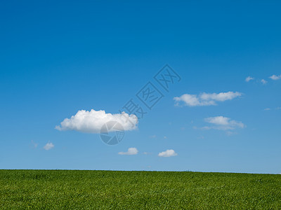 天空和草地场景绿色蓝色地平线场地图片