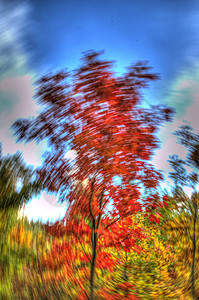 秋季的彩色收藏 - 创造性图片