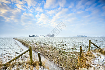 荷兰农田的冬季图片