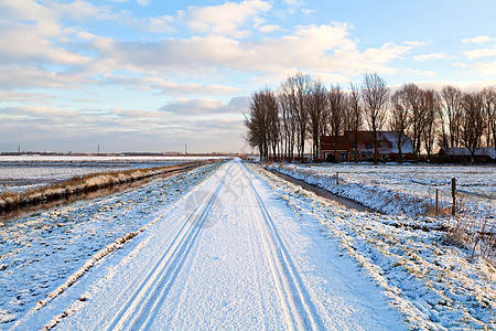 冬季寒雪中的荷兰农舍图片
