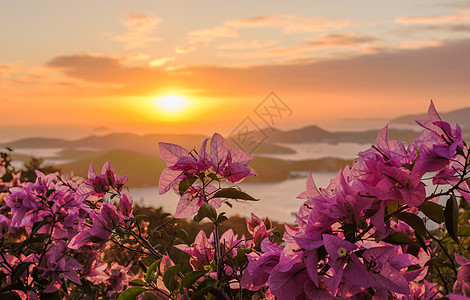 夏洛特阿马利亚圣托马斯的日落花朵港口海岸线全景海岸场景处女支撑岛屿蓝色图片