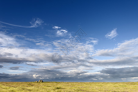 Aleentejo 地貌景观风景牧场草地蓝色戏剧性农场农村农田草原天空图片