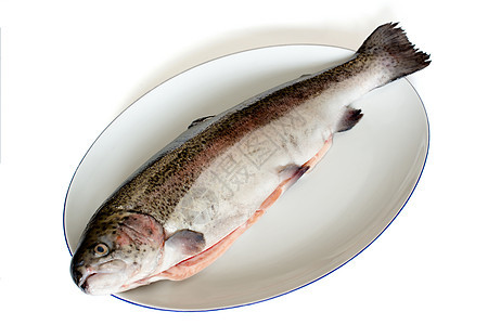 虹鳟鱼海鲜钓鱼烹饪淡水美食白色厨房鲑鱼水平动物图片