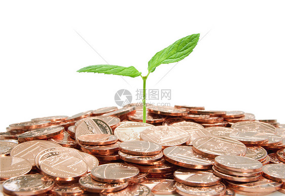 植物和硬币绿色生长幼苗养老金金融银行业投资环境白色繁荣图片