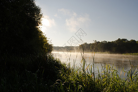 清晨雾雾升起 河水流淌图片