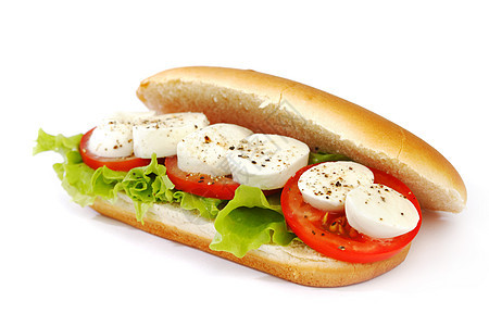 三明治加番茄和沙拉食物休息包子白音美食财产生物野餐窗格饼干图片