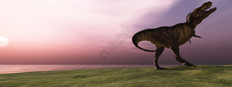 日出时的 T- Rex图片