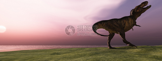 日出时的 T- Rex图片